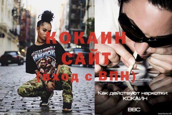 стаф Алзамай