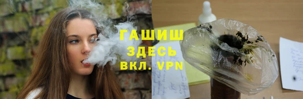 стаф Алзамай