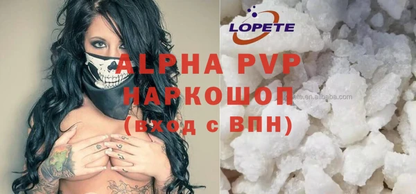 стаф Алзамай